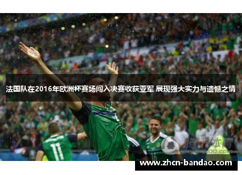 法国队在2016年欧洲杯赛场闯入决赛收获亚军 展现强大实力与遗憾之情