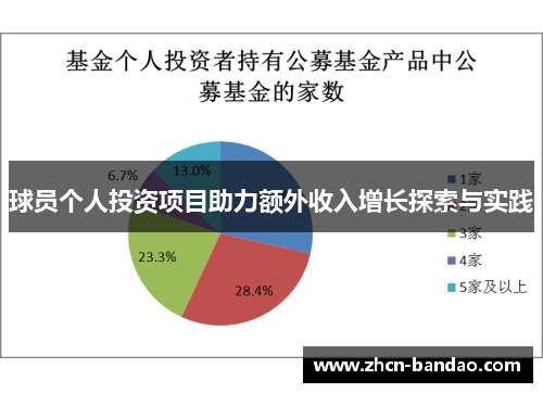 球员个人投资项目助力额外收入增长探索与实践