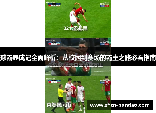 球霸养成记全面解析：从校园到赛场的霸主之路必看指南