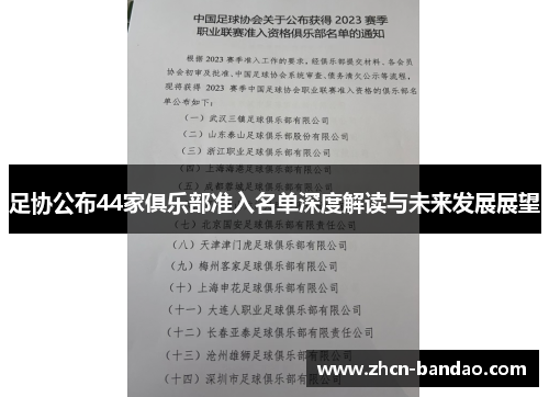 足协公布44家俱乐部准入名单深度解读与未来发展展望