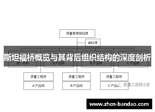 斯坦福桥概览与其背后组织结构的深度剖析